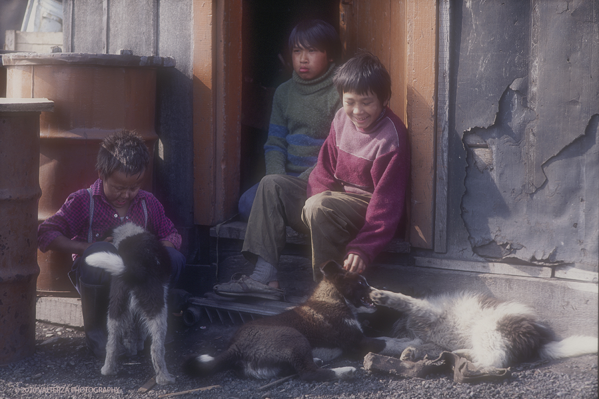 156 U SIBERIA.jpg - Luglio/Agosto 1992. Siberia, terra dei Chukchi. Nell'oceano artico  125 Km a nord-est della penisola dei Chukchi (Siberia) c'Ã¨ l'isola di Wrangel, essa ospita piÃ¹ del doppio di specie vegetali (417) di qualsiasi territorio artico a paritÃ  di superficie nonchÃ¨ 30 specie diverse di uccelli oltre ad orsi polari, foche e trichechi ; per questo motivo   Ã¨ stata proclamata patrimonio dell'umanitÃ  dall'UNESCO. Nella foto ragazzi di Uelen con i loro cani.